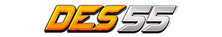 DES55